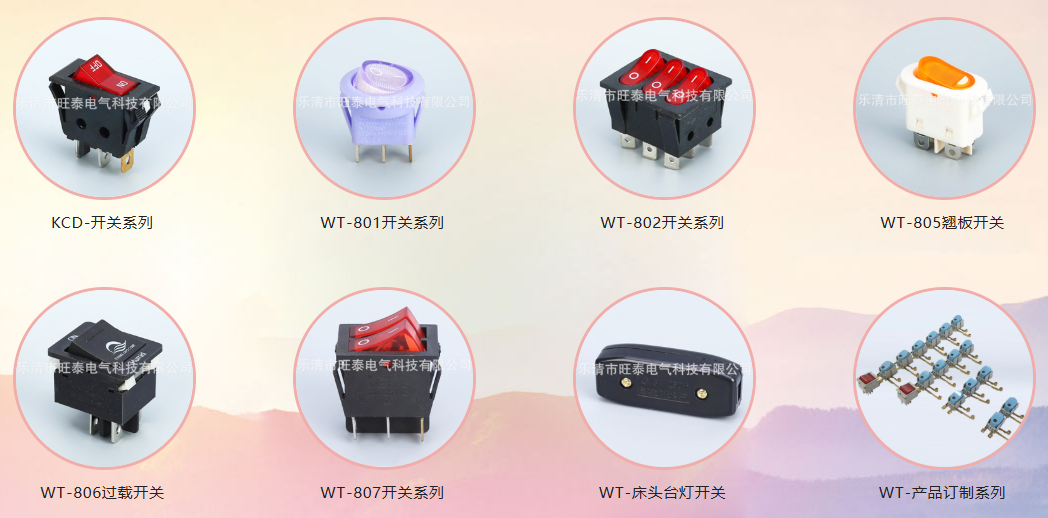 乐清市旺泰电气科技有限公司