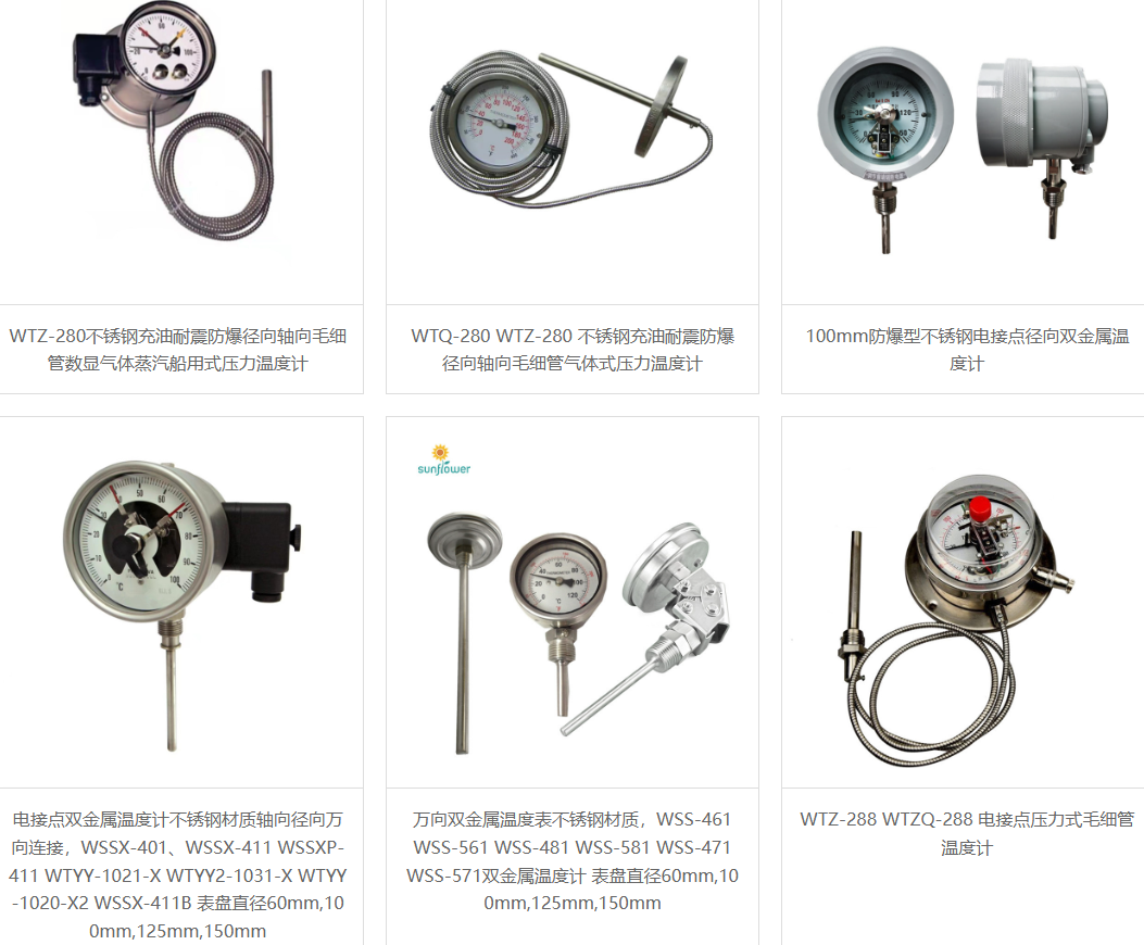 重庆桑尼罗尔仪表有限公司