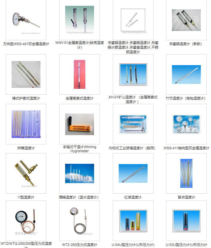 常州市新华仪表厂