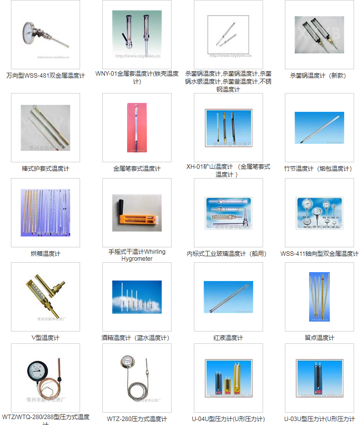 常州市新华仪表厂