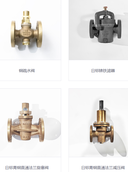 瑟维斯泵阀制造（浙江）有限公司