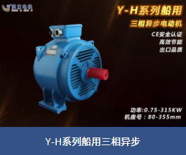 大连洪立电机有限公司