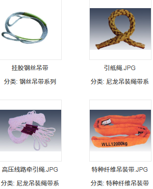 泰兴晨光索具有限公司